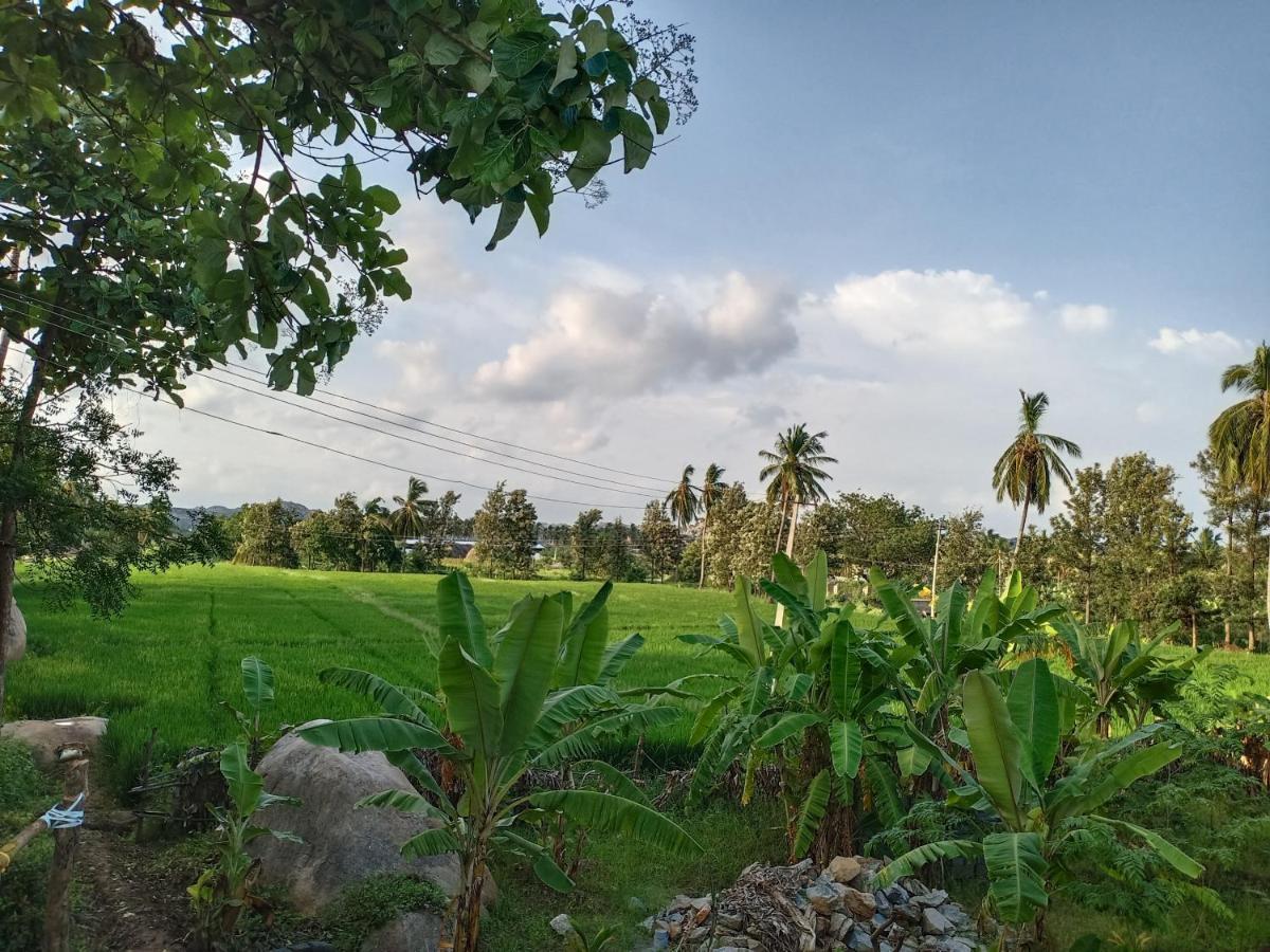 Gopi Plantation Homestay Hampi Exterior foto