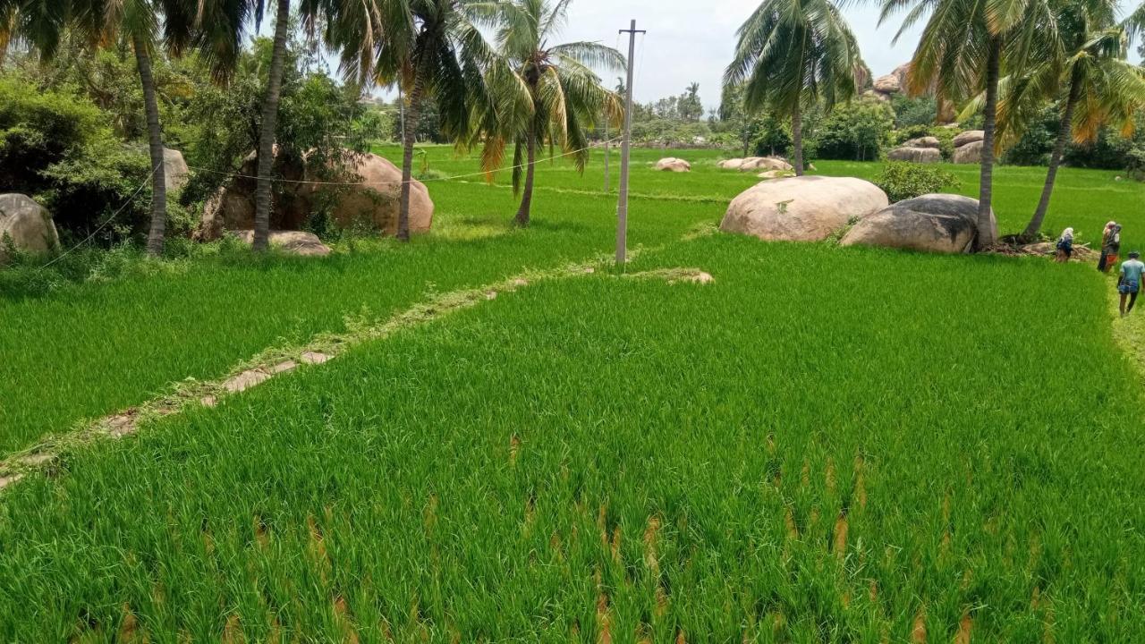 Gopi Plantation Homestay Hampi Exterior foto