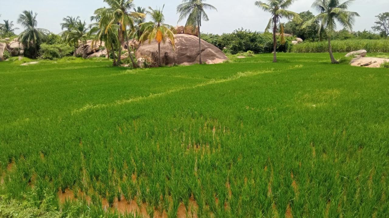 Gopi Plantation Homestay Hampi Exterior foto
