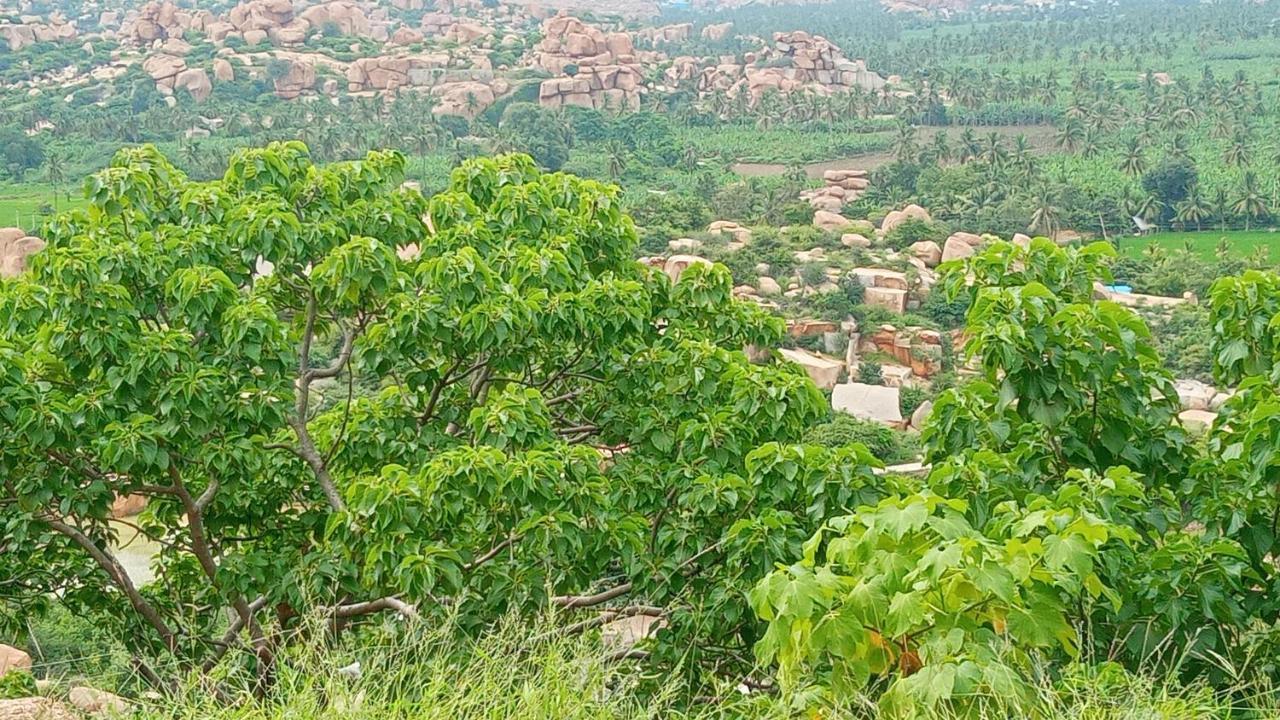 Gopi Plantation Homestay Hampi Exterior foto