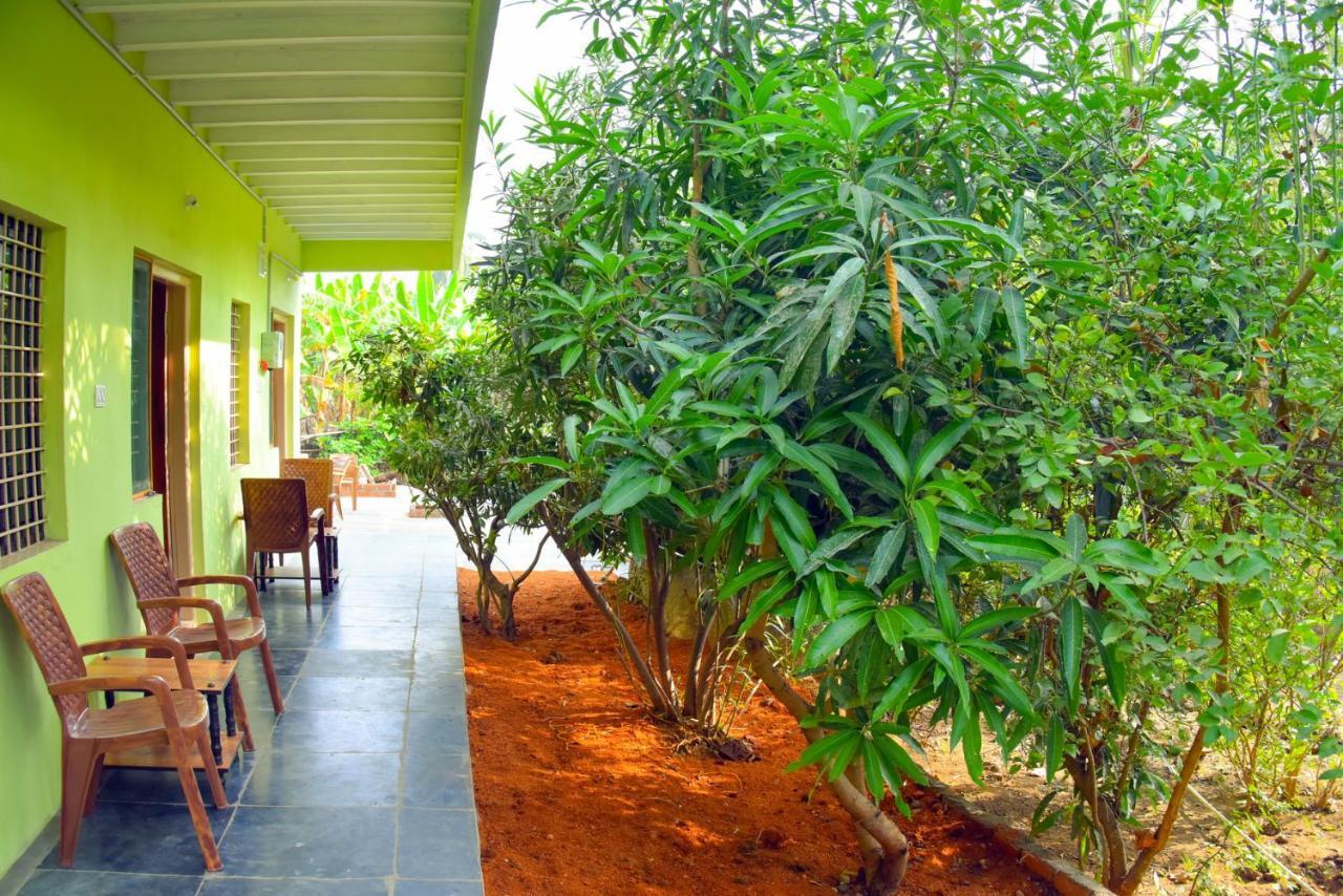 Gopi Plantation Homestay Hampi Exterior foto